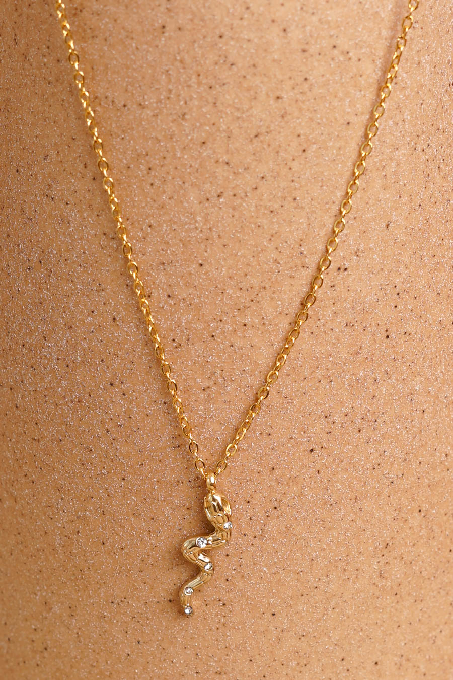 WW-RG-50237-D-3 Collar Snake - Imagen 5