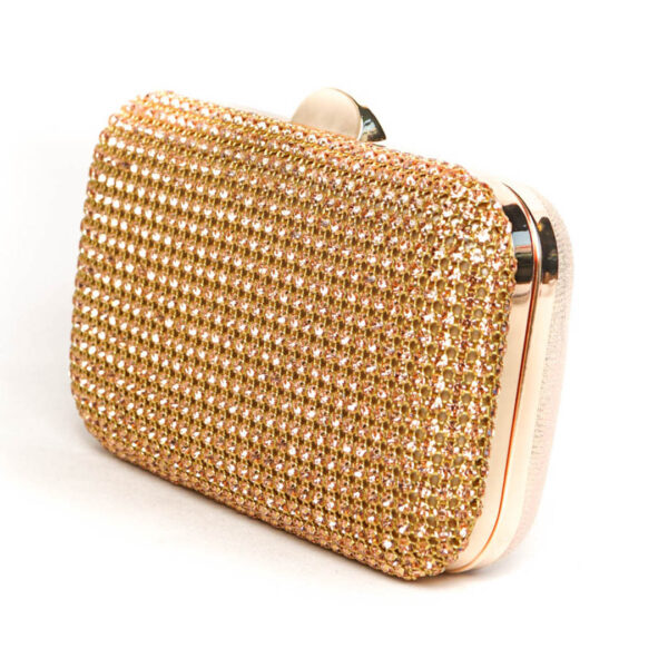 Bolso de Fiesta con Circonita